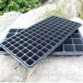 large plastic greenhouse nursery seedling trays